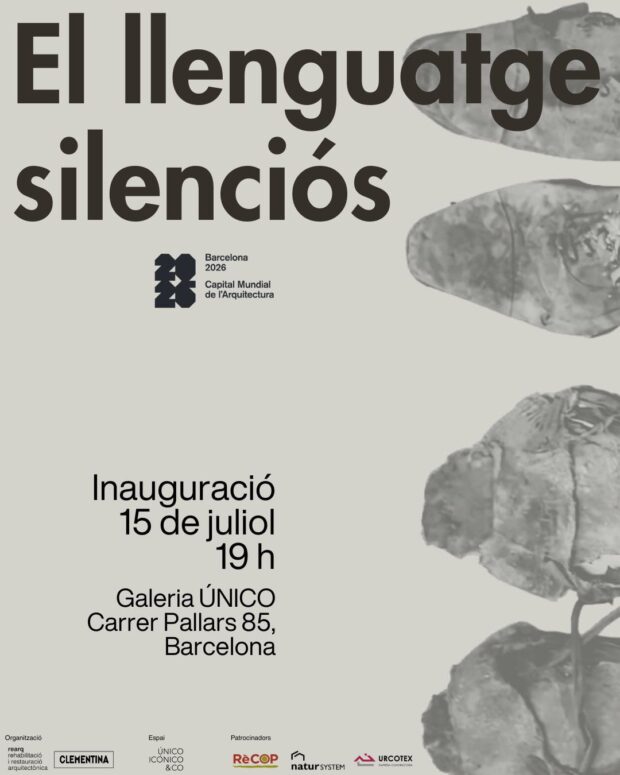 El llenguatge silenciós
